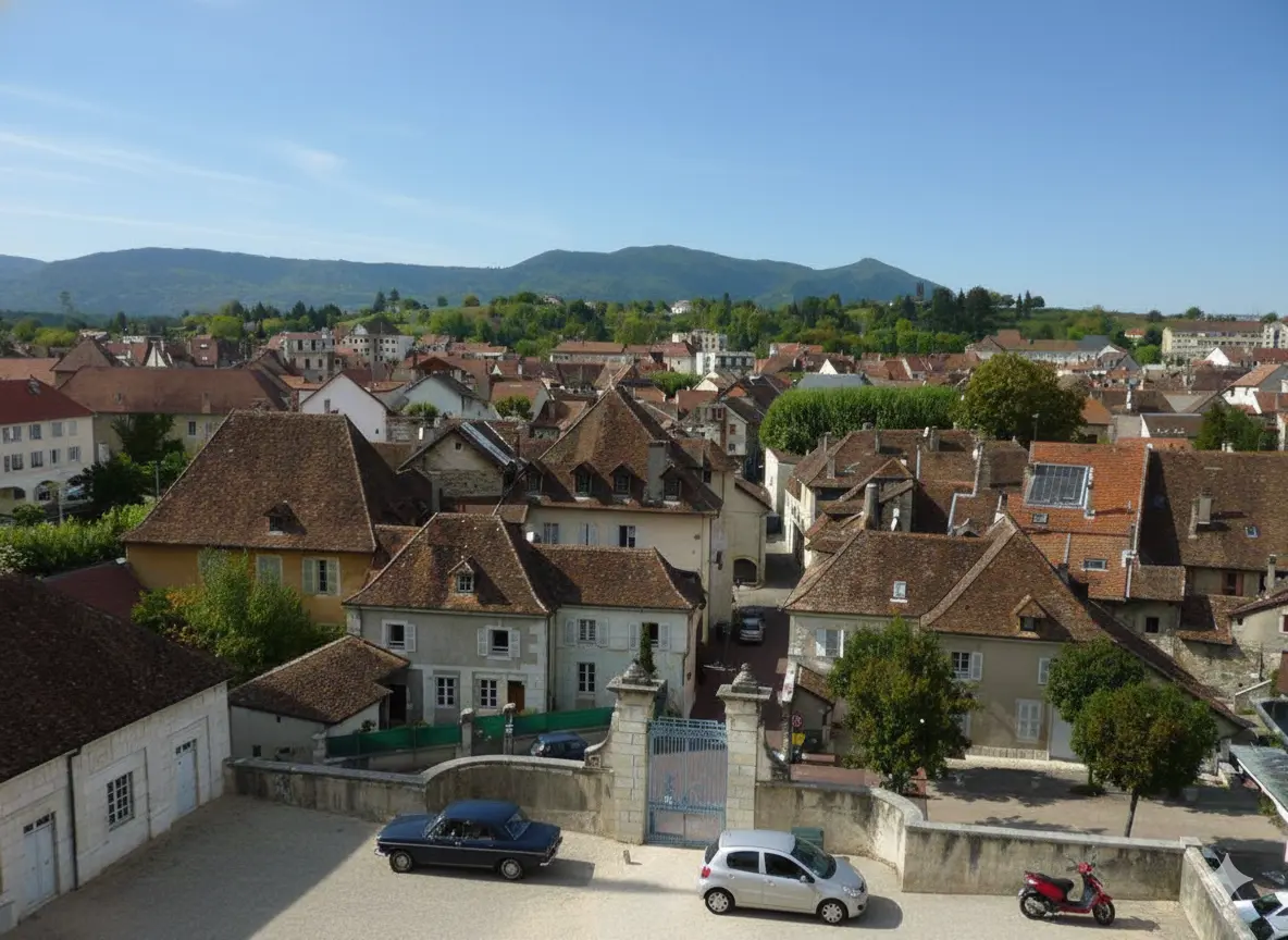 Toitures de maisons ville belley - Ain