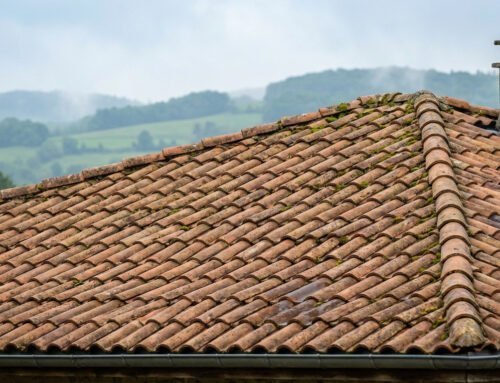 Impact du climat de l&rsquo;Ain sur l&rsquo;état des toitures