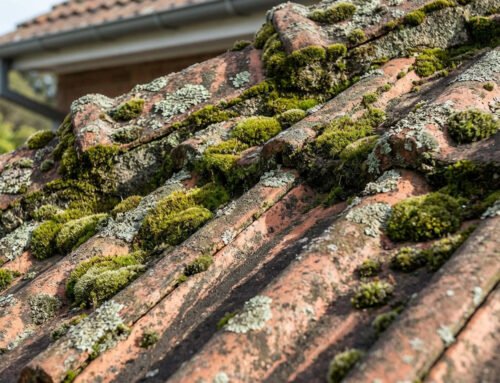 7 signes que votre toiture a besoin d&rsquo;un nettoyage urgent
