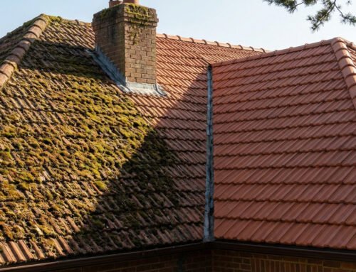 Toiture moussue : quel impact sur le prix de vente ?