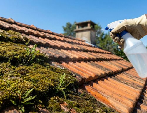 Éliminer la mousse du toit naturellement : méthode radicale
