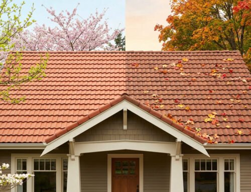 Quelle saison pour nettoyer son toit ? Printemps vs automne